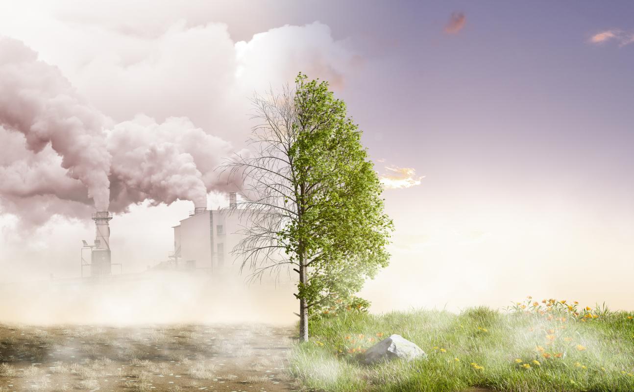 2025 Climate Tech Trailblazer Prize 2025 Climate Tech Trailblazer Prize